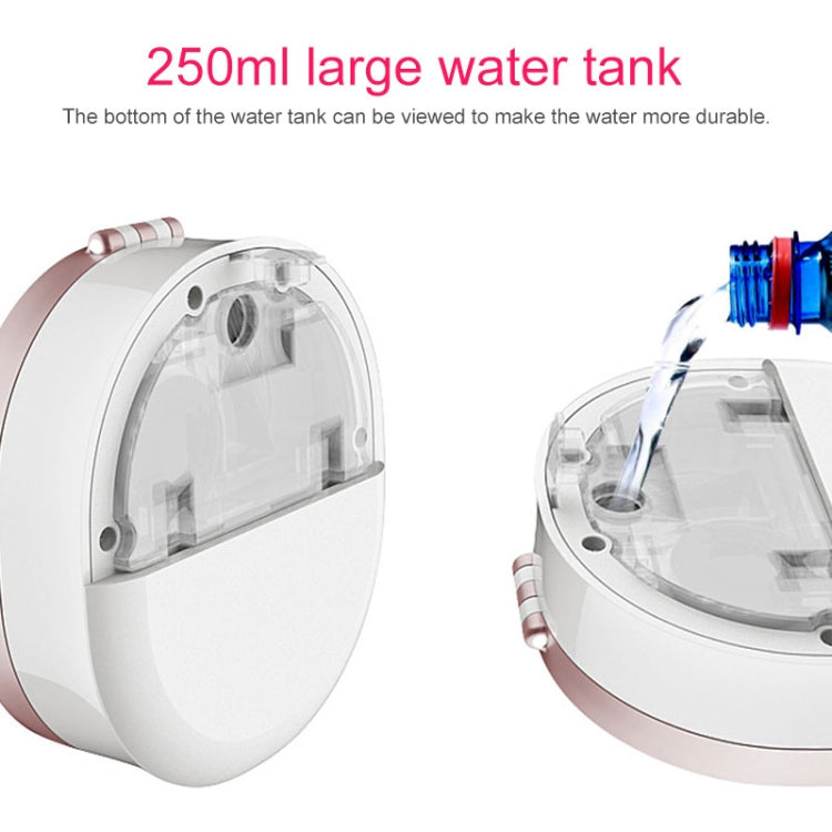 Nano Sprayer Water Replenishing Instrument Charging Mini Portable Humidifier Automatic Alcohol Sprayer with Mirror