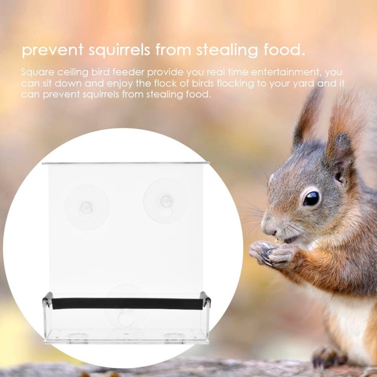Creative Transparent Plexiglass Square Box Bird Feeder