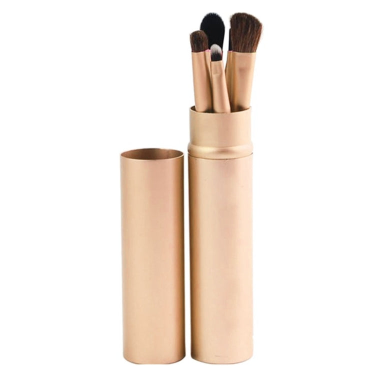 5 PCS Handle Eyes Makeup Brush Set with Aluminum Tube