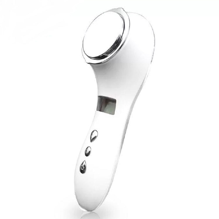 Multi-functional Household Beauty and Body Apparatus Facial Ion Importer