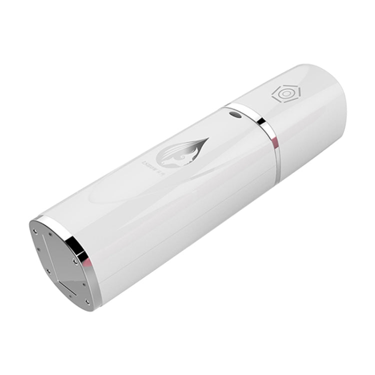 LSHOW YJK009 DC 5V 1A Hand-held Skin Care Water Atomizer Nano Sprayer Water Supplementary Instrument Alcohol Sprayer, Water Tank Capacity: 6ml