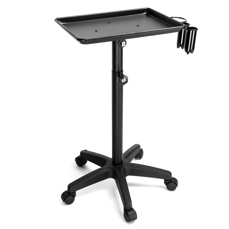 [US Warehouse] Hairdressing Beauty Tool Cart Aluminum Tray(Black)
