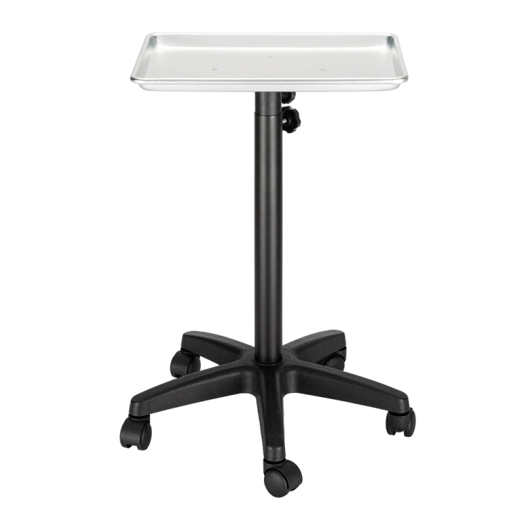 [US Warehouse] Hairdressing Beauty Tool Cart Aluminum Tray(Silver)
