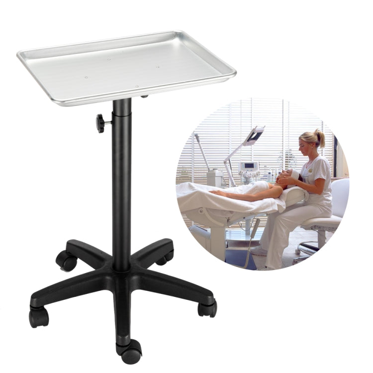 [US Warehouse] Hairdressing Beauty Tool Cart Aluminum Tray(Silver)