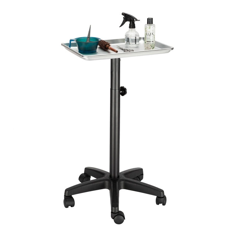 [US Warehouse] Hairdressing Beauty Tool Cart Aluminum Tray(Silver)