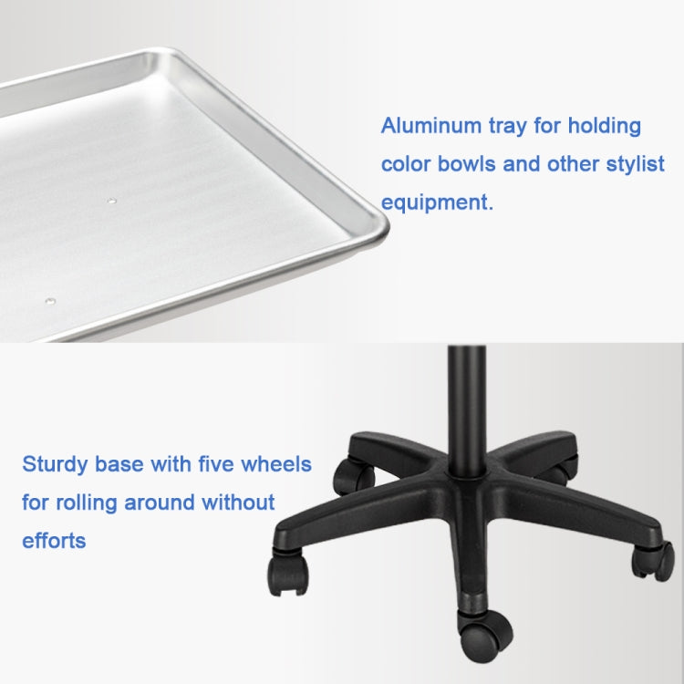 [US Warehouse] Hairdressing Beauty Tool Cart Aluminum Tray(Silver)