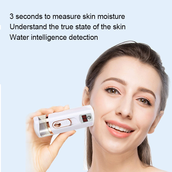 Nano Beauty Facial Sprayer Moisturizing Face Steaming Device