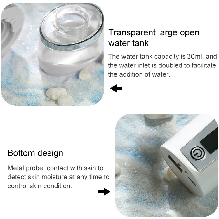 Nano Beauty Facial Sprayer Moisturizing Face Steaming Device