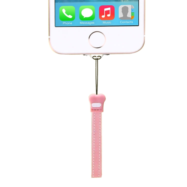For iPhone SE & 5s & 5c & 5 Stainless Steel Material Lanyard Hanger with Screwdriver