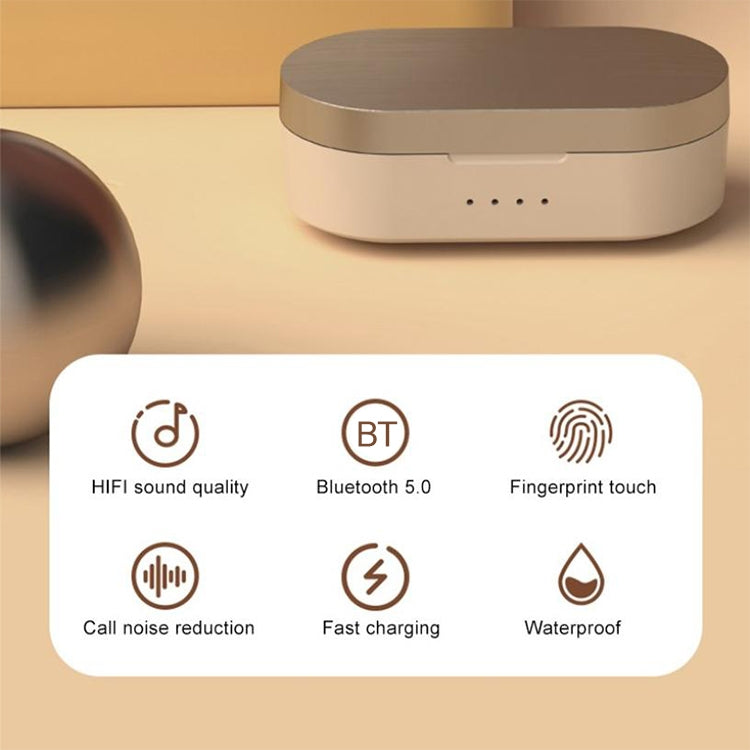 Z5 TWS Bluetooth 5.0 Touch Mini Wireless Bluetooth Earphone with Magnetic Charging Box, Support Call & Voice Assistant & IOS System Pop-up Window(Tarnish)