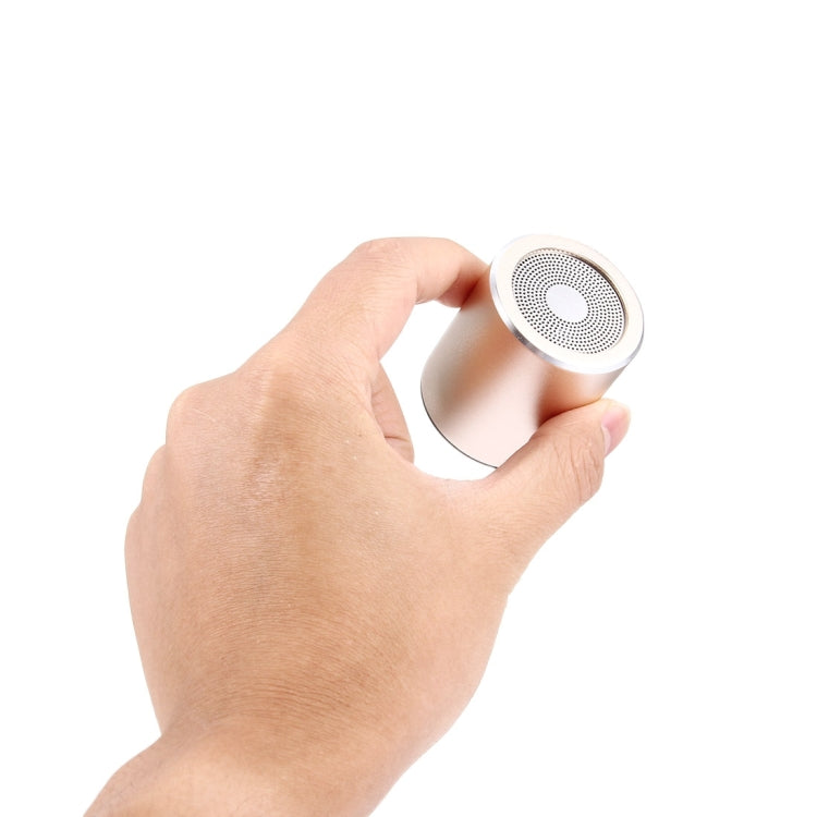 Portable Mini Metallic Wireless Bluetooth Speaker for iPhone & iPad , Support TF Card