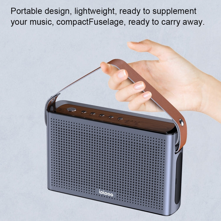 ipipoo YP-1 Hand-held Bluetooth Speaker (Black)