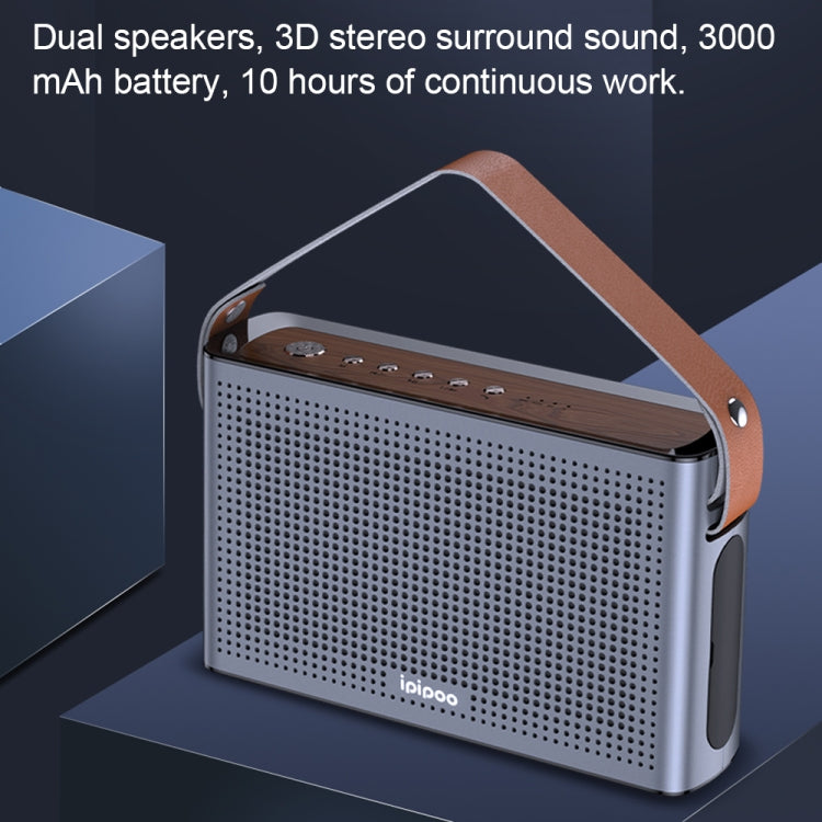 ipipoo YP-1 Hand-held Bluetooth Speaker (Black)
