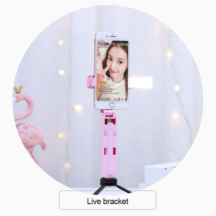 CYKE M2 Mini Integrated Storage Bluetooth Selfie Stick for Mobile Phones under 6 inch, with Fill Light
