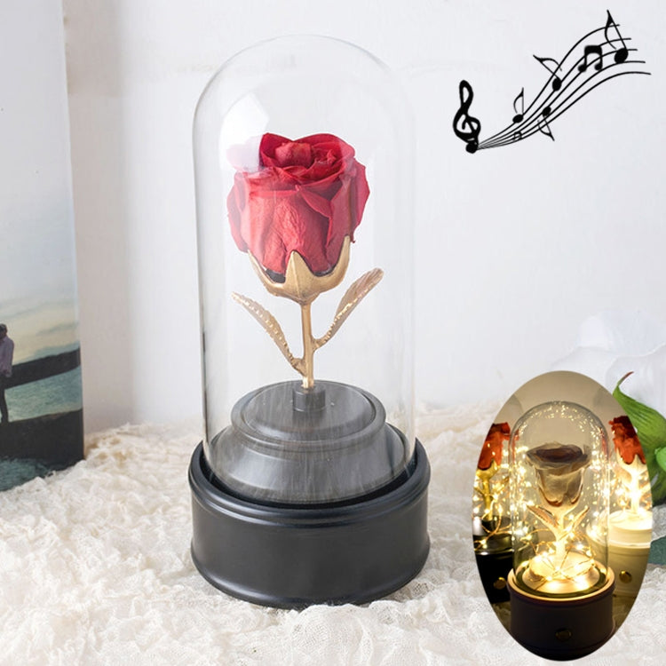 Creative Single Rose Eternal Flower Glass Cover Night Light Gift Box, Music Box Version