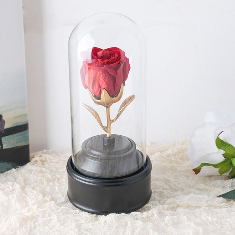 Creative Single Rose Eternal Flower Glass Cover Night Light Gift Box, Music Box Version