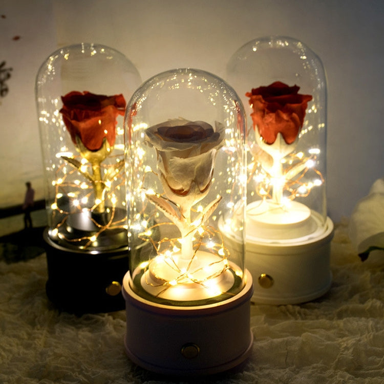 Creative Single Rose Eternal Flower Glass Cover Night Light Gift Box, Music Box Version