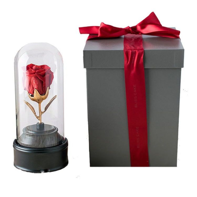 Creative Single Rose Eternal Flower Glass Cover Night Light Gift Box, Music Box Version