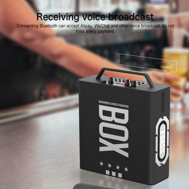 M10 Subwoofer Bluetooth Speaker, Support Cancellation of Original Sound & Independent Reverberation Adjustment & Wired / Wireless Microphone Amplification & FM & Recording & Remote Control & 3.5mm AUX