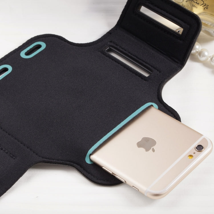 PICTET FINO RH07 Universal Sport Double Buckle Armband Mobile Phone Case for 5.5 inch Smart Phones