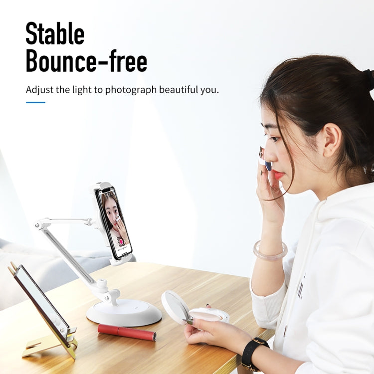 ROCK RPH-0878 5 - 10.5 Inch Phones / Tablets Universal Adjustable Desktop Stand(Silver)