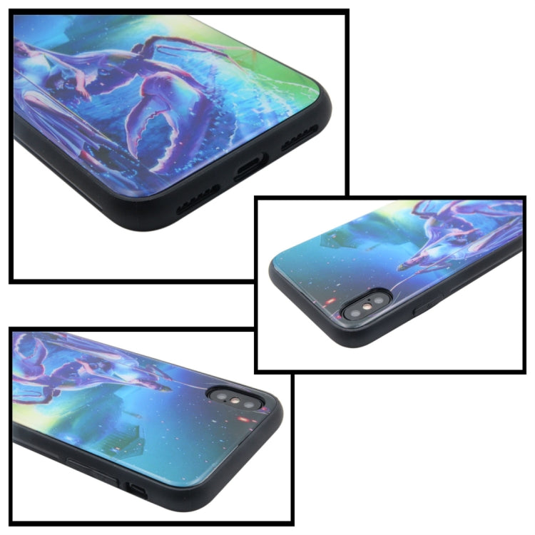 For iPhone X / XS TPU + Tempered Glass 3D Cartoon