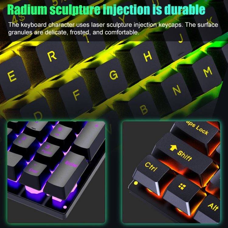 D500 RGB Brilliant Backlight Word ThroughKeyboard and Mouse Set