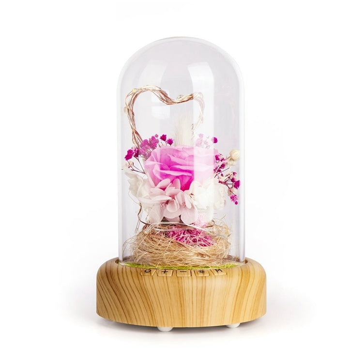 Dream Streamer Bottle LED Night Light, Rechargeable LED Decorative Table Lamp with Bluetooth Speaker Function