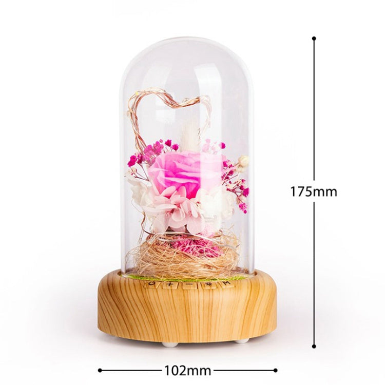 Dream Streamer Bottle LED Night Light, Rechargeable LED Decorative Table Lamp with Bluetooth Speaker Function