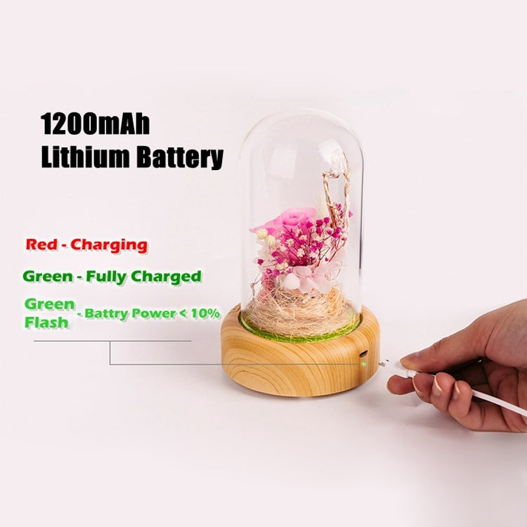 Dream Streamer Bottle LED Night Light, Rechargeable LED Decorative Table Lamp with Bluetooth Speaker Function