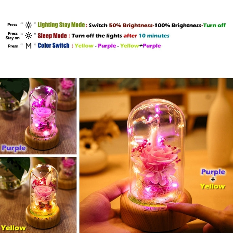 Dream Streamer Bottle LED Night Light, Rechargeable LED Decorative Table Lamp with Bluetooth Speaker Function