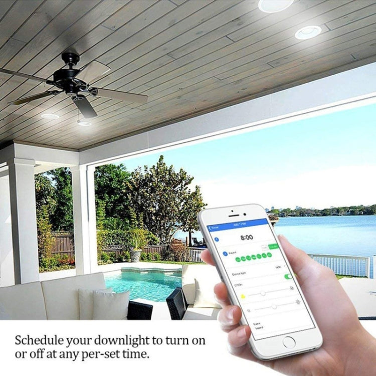 RGB Dimming WIFI Smart Downlight Highlight Spotlight (Colorful Light)