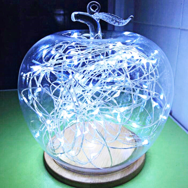 10m 5VMN 6W 500LM LED Silver String Light, USB Powered SMD-0603 Festival Lamp / Decoration Light Strip