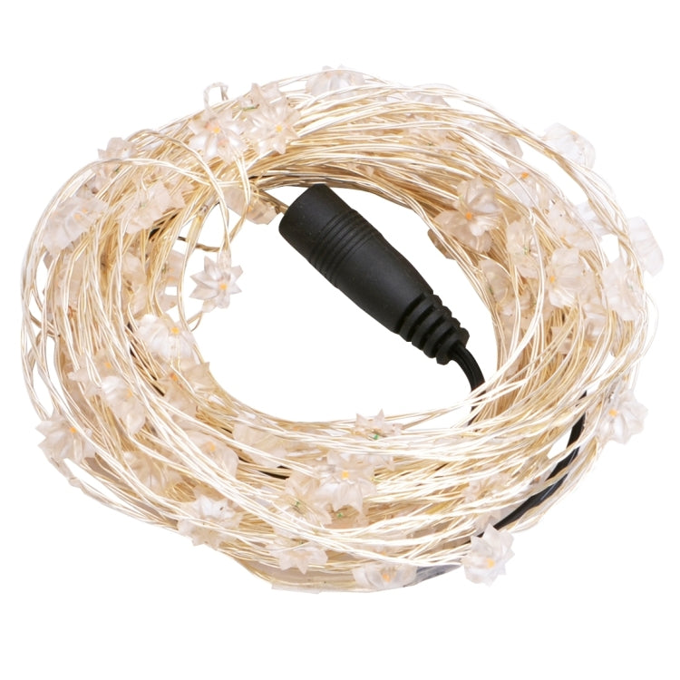 5m 12V 6W 250LM LED Silver Wire String Light Festival Lamp