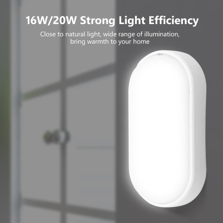 Oval 16W 85-265V 1800LM LED Moisture-proof Lamp LED Wall Light (White)