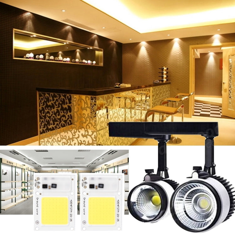 2 PCS 20W 2800-6000K High Power Brightness COB Chips LED Light Beads, AC 220V