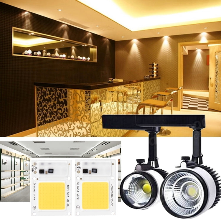 2 PCS 20W 2800-6000K High Power Brightness COB Chips LED Light Beads, AC 220V