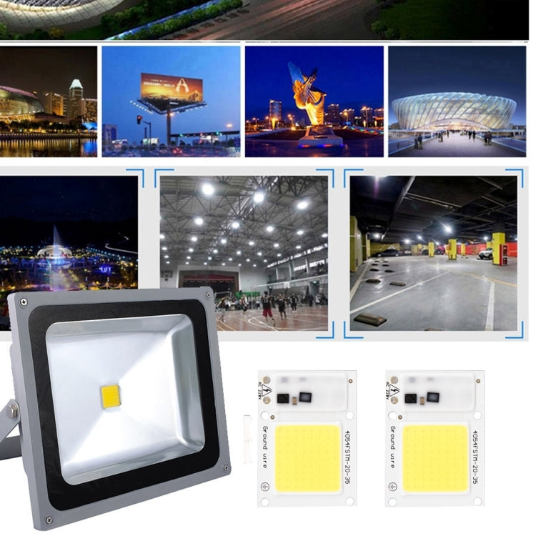 2 PCS 30W 2800-6000K High Power Brightness COB Chips LED Light Beads, AC 220V