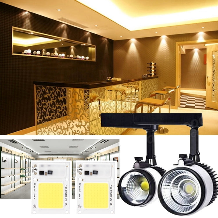2 PCS 50W 2800-6000K High Power Brightness COB Chips LED Light Beads, AC 220V