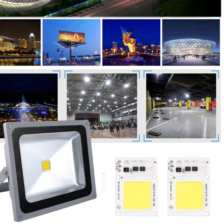 2 PCS 50W 2800-6000K High Power Brightness COB Chips LED Light Beads, AC 220V