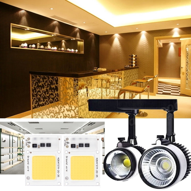 2 PCS 50W 2800-6000K High Power Brightness COB Chips LED Light Beads, AC 220V