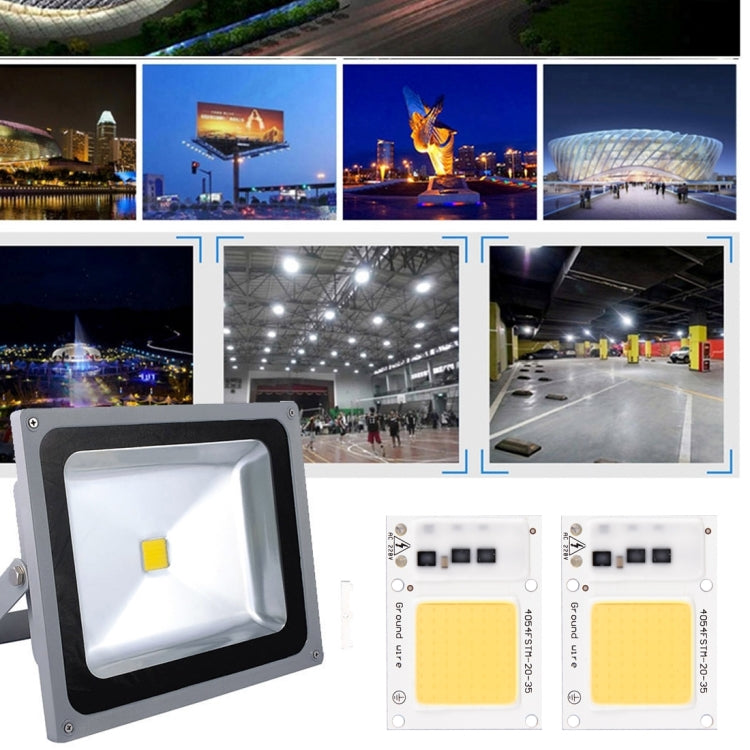 2 PCS 50W 2800-6000K High Power Brightness COB Chips LED Light Beads, AC 220V
