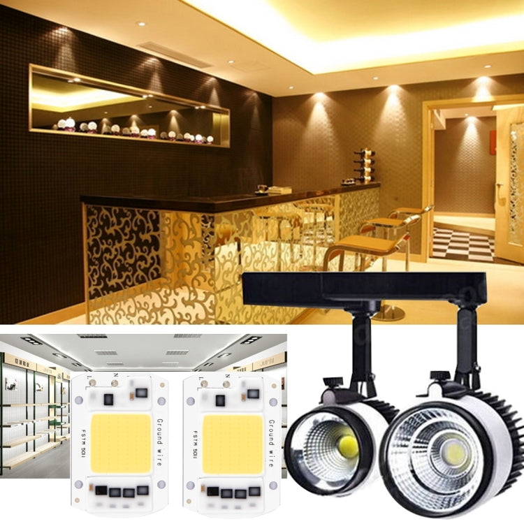 2 PCS 100W 2800-6000K High Power Brightness COB Chips LED Light Beads, AC 220V