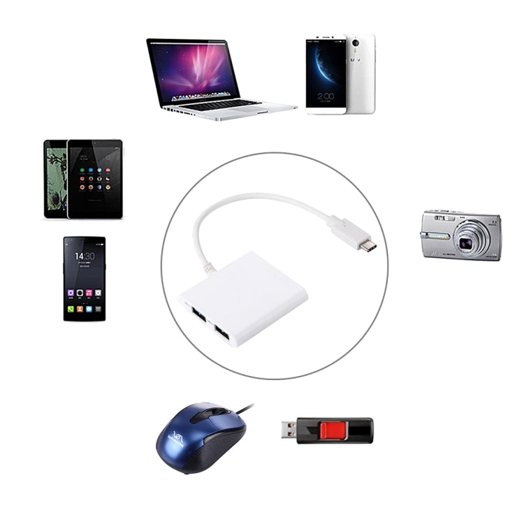 USB-C / Type-C 3.1 to 2 USB 3.0 Ports HUB + SD / TF Card Reader for MacBook Tablet PC, Google, Microsoft, Xiaomi, Letv Smartphones, Length: about 20cm