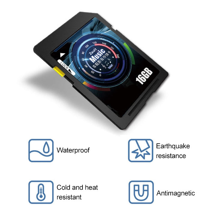 Zsuit 16GB High Speed Class10 Car Audio and Video SD Memory Card