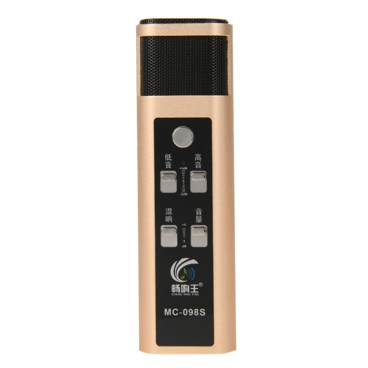 Stylish Microphone with Audio Cables & Charging Cable & Headphone for iPhone & Android Smart Phone(Gold)