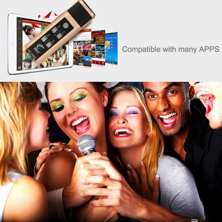Stylish Microphone with Audio Cables & Charging Cable & Headphone for iPhone & Android Smart Phone(Gold)