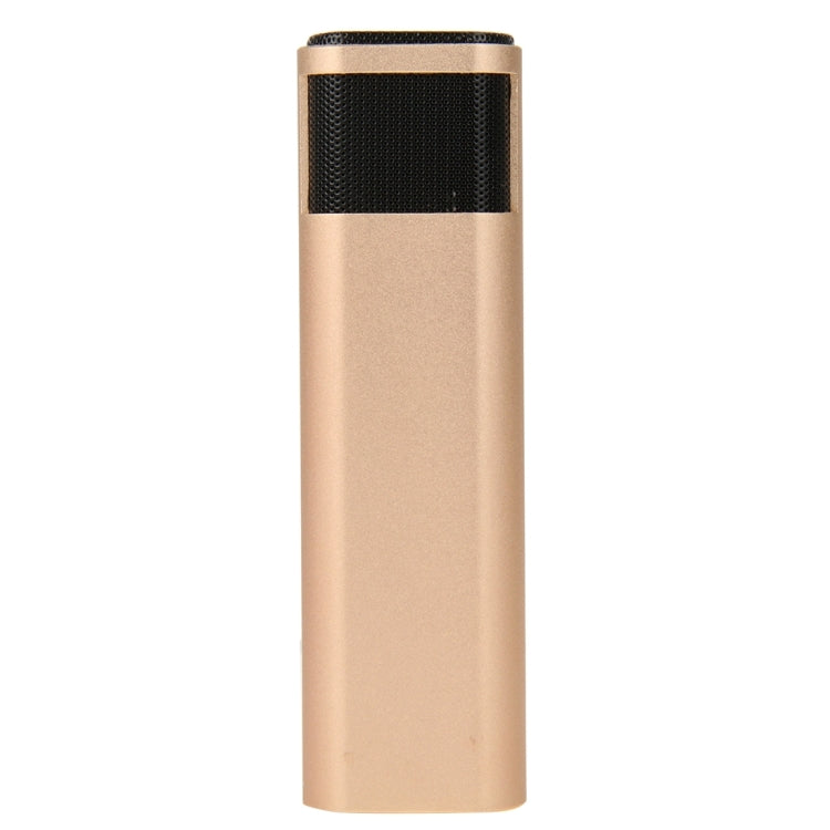 Stylish Microphone with Audio Cables & Charging Cable & Headphone for iPhone & Android Smart Phone(Gold)