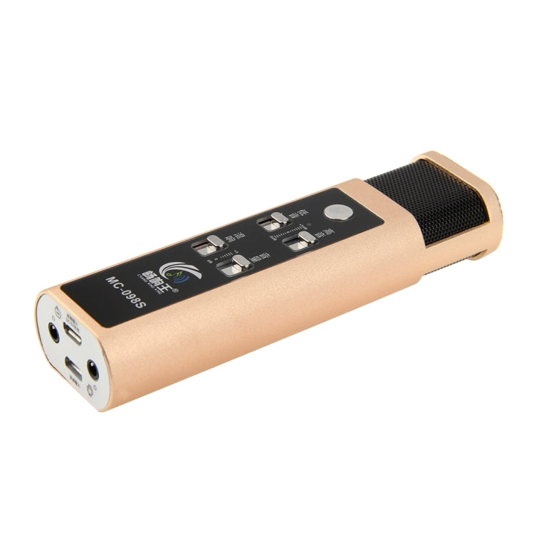 Stylish Microphone with Audio Cables & Charging Cable & Headphone for iPhone & Android Smart Phone(Gold)