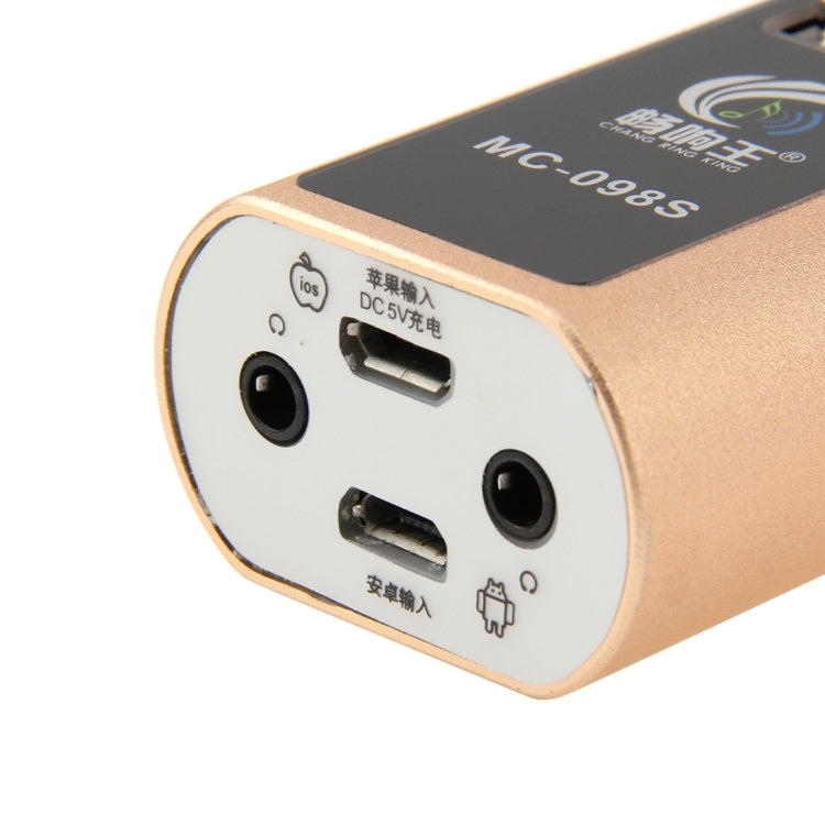 Stylish Microphone with Audio Cables & Charging Cable & Headphone for iPhone & Android Smart Phone(Gold)